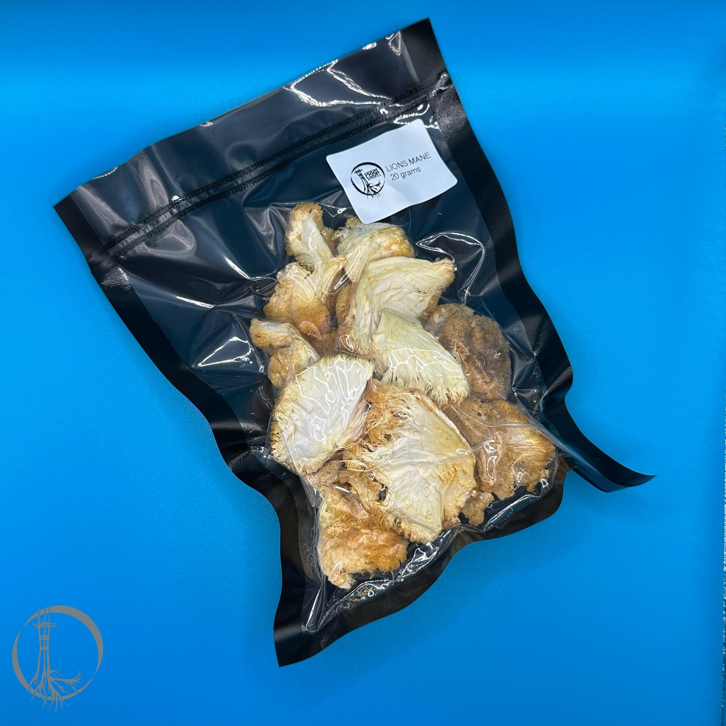 Lion Mane Premium Dried (20g/pack)
